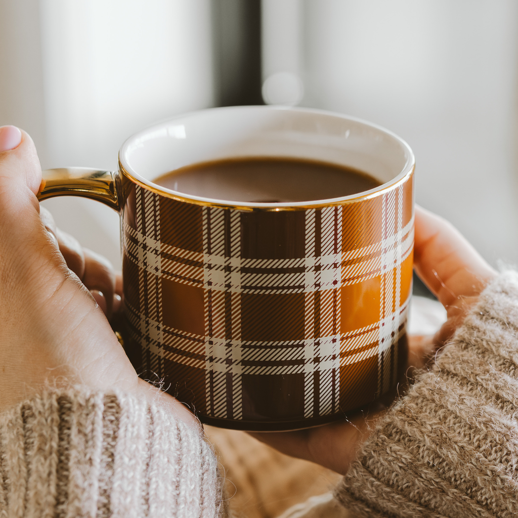 The Front Porch Plaid Mug