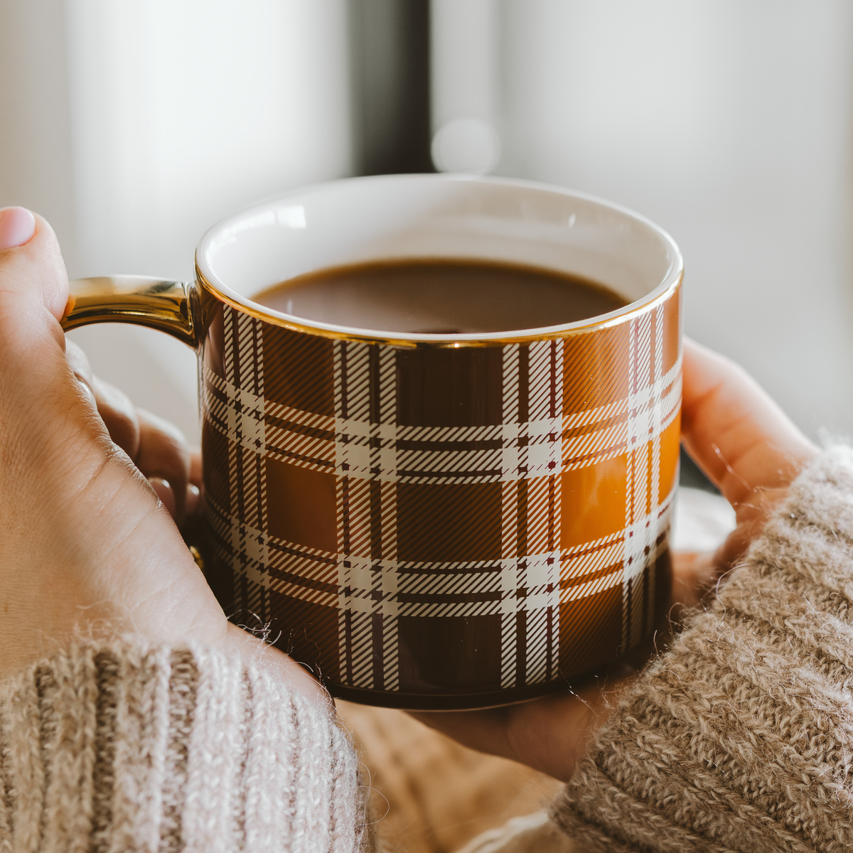 The Front Porch Plaid Mug